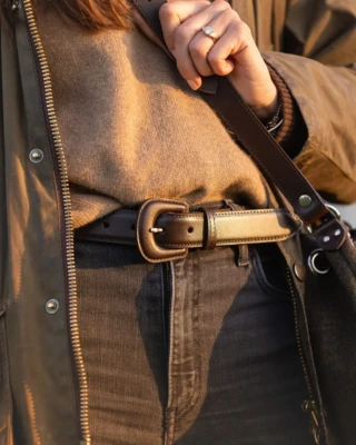 Daguet - Ceinture Alba  Cuir lisse marron