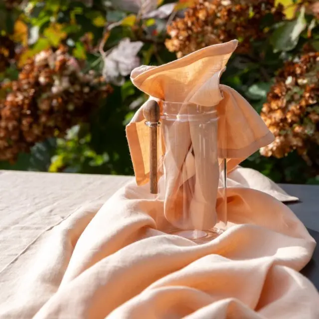 EMBRIN - Lot de 4 serviettes en lin – Pêche