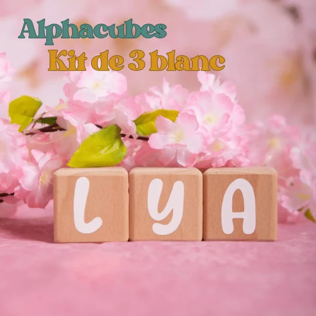 LouYou - 3 Cubes en Bois de 5cm x 5cm + 47 Stickers blancs