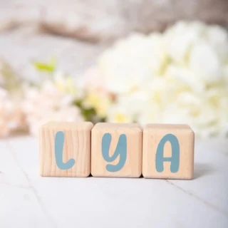 LouYou - 3 Cubes en Bois de 5cm x 5cm + 47 Stickers Gris