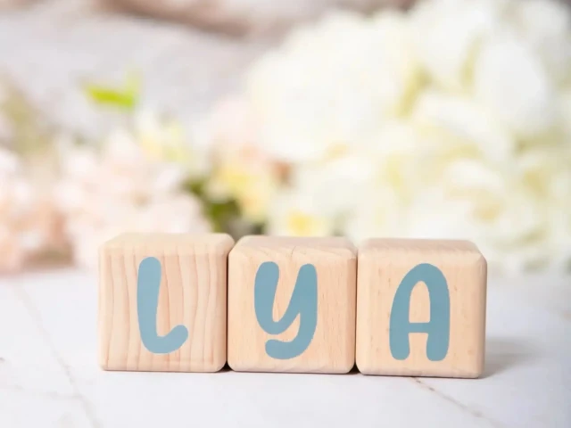 16048 louyou cube decors 54 1 scaled 1 LouYou - 3 Cubes en Bois de 5cm x 5cm + 47 Stickers Gris