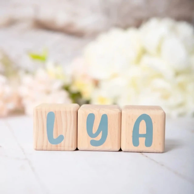 LouYou - 3 Cubes en Bois de 5cm x 5cm + 47 Stickers Gris