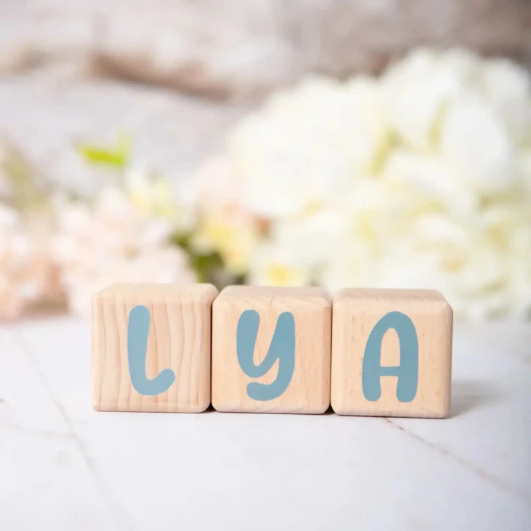 LouYou - 3 Cubes en Bois de 5cm x 5cm + 47 Stickers Gris