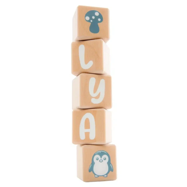 LouYou - 5 Cubes en Bois de 5cm x 5cm + 66 Stickers blancs