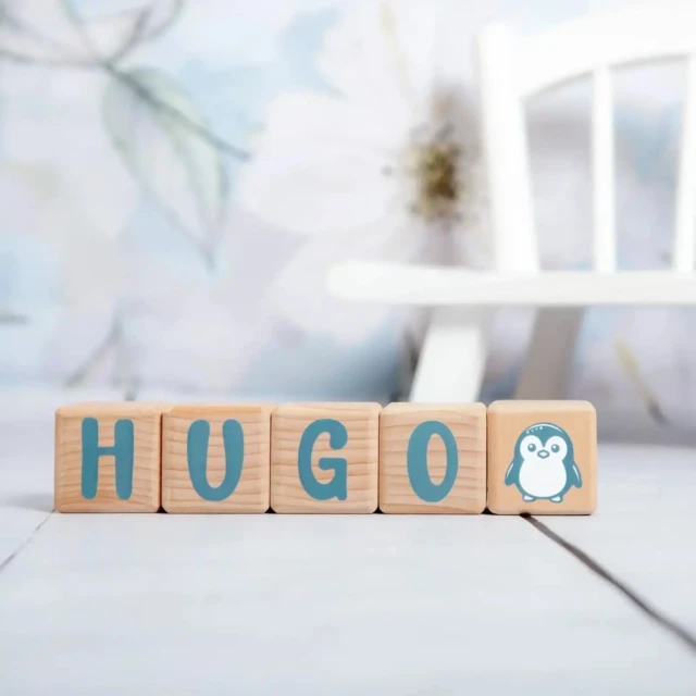 LouYou - 5 Cubes en Bois de 5cm x 5cm + 66 Stickers gris