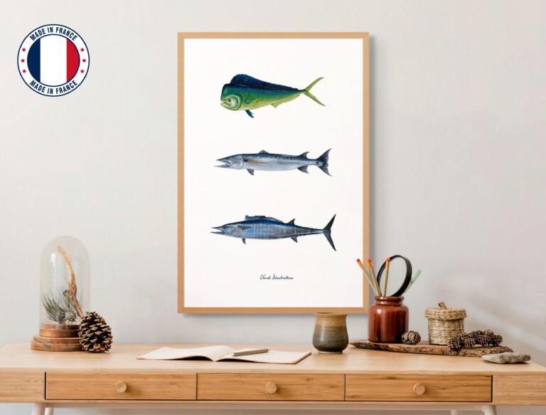 varek.illustrations - Affiche : Les Poissons Exotiques