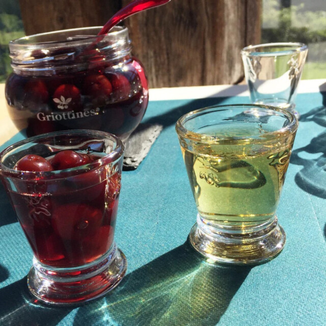 LA ROCHERE - 6 shooters LA ROCHERE Little Bee abeille petits verres