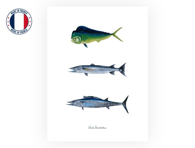 varek.illustrations - Affiche : Les Poissons Exotiques