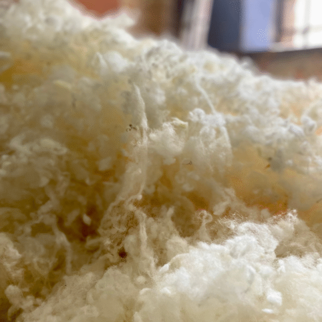 Loulenn - Flocons de laine