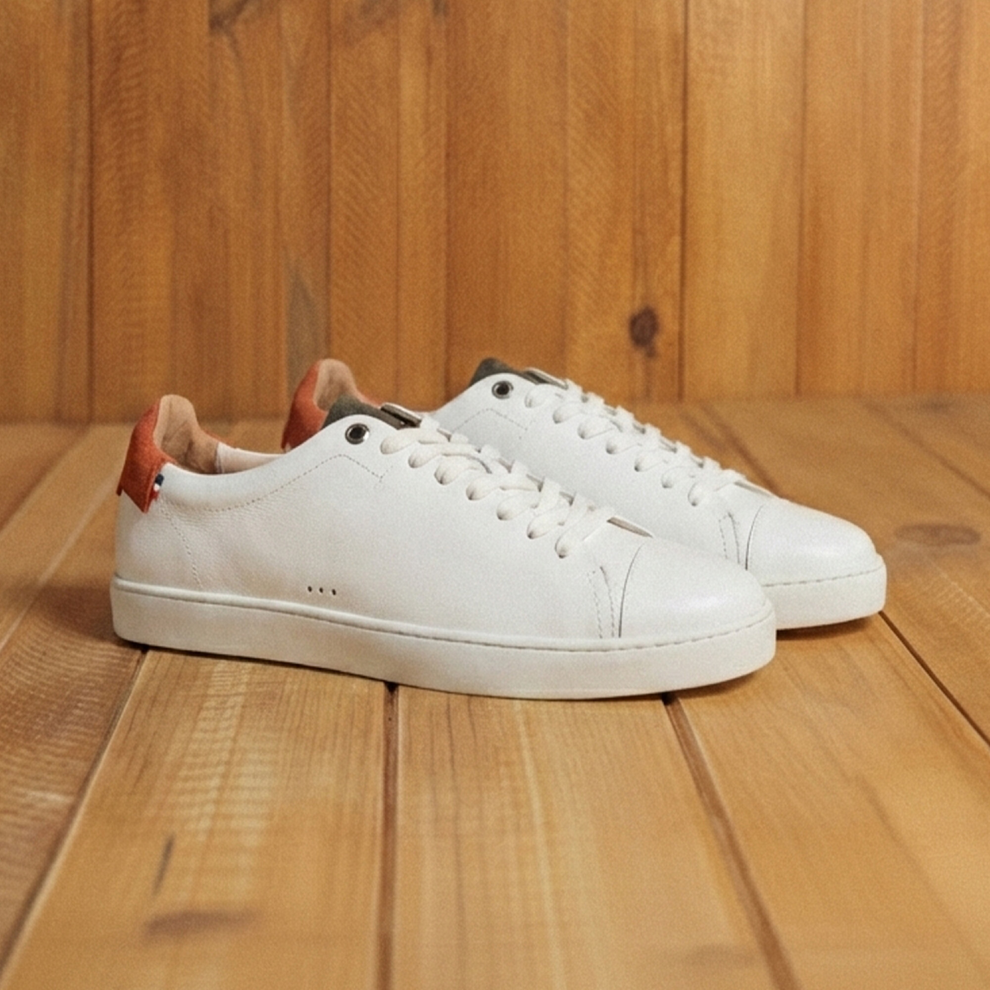 Sessile - Abélia Blanc Orange Kaki