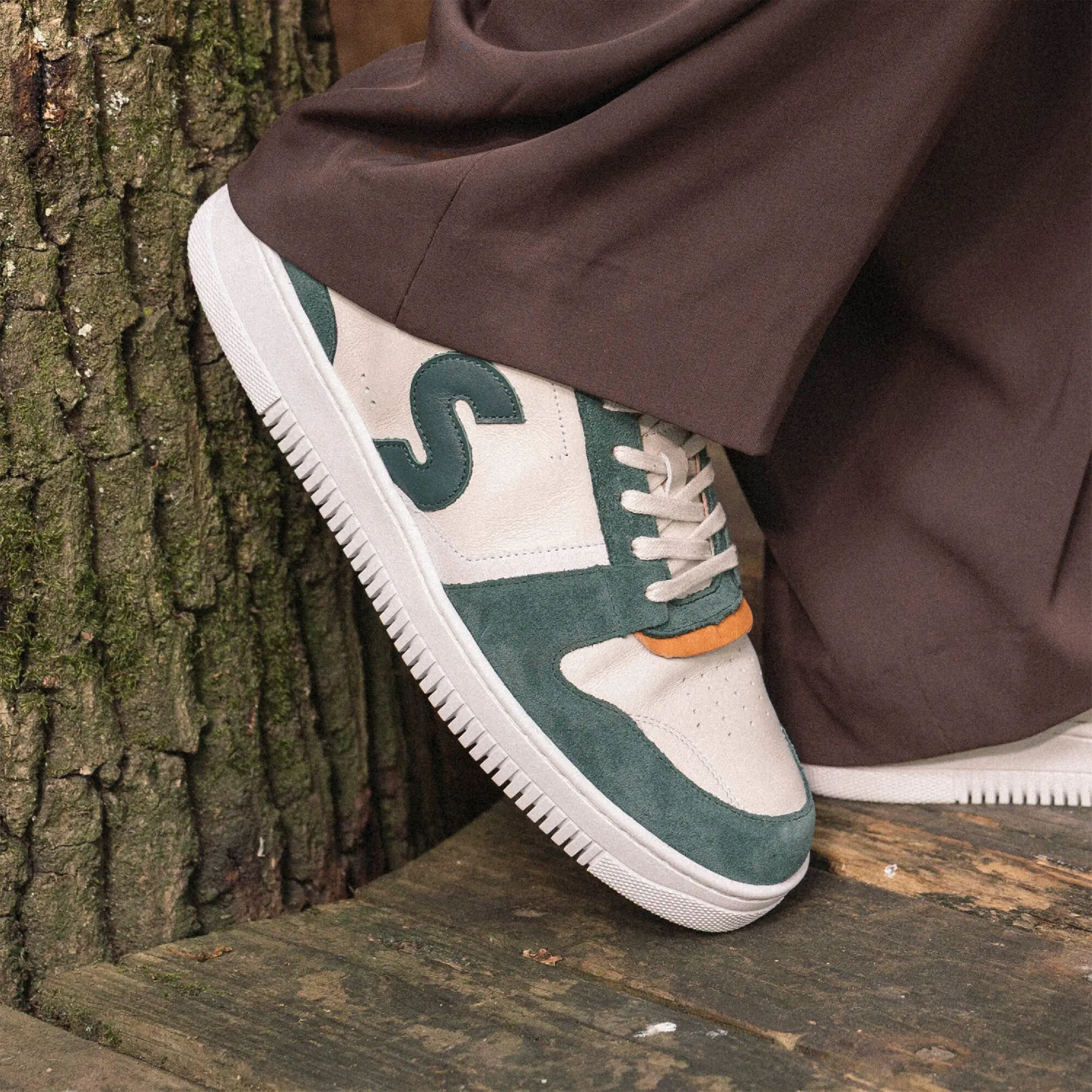 Sessile - Bellis Crème Vert