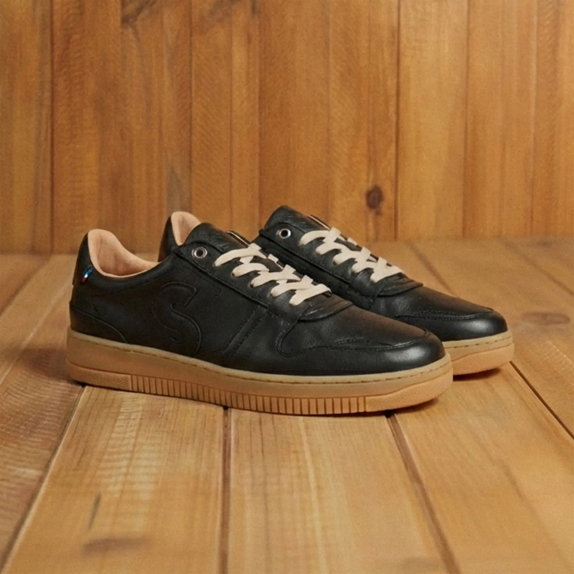 Sessile - Bellis Noir