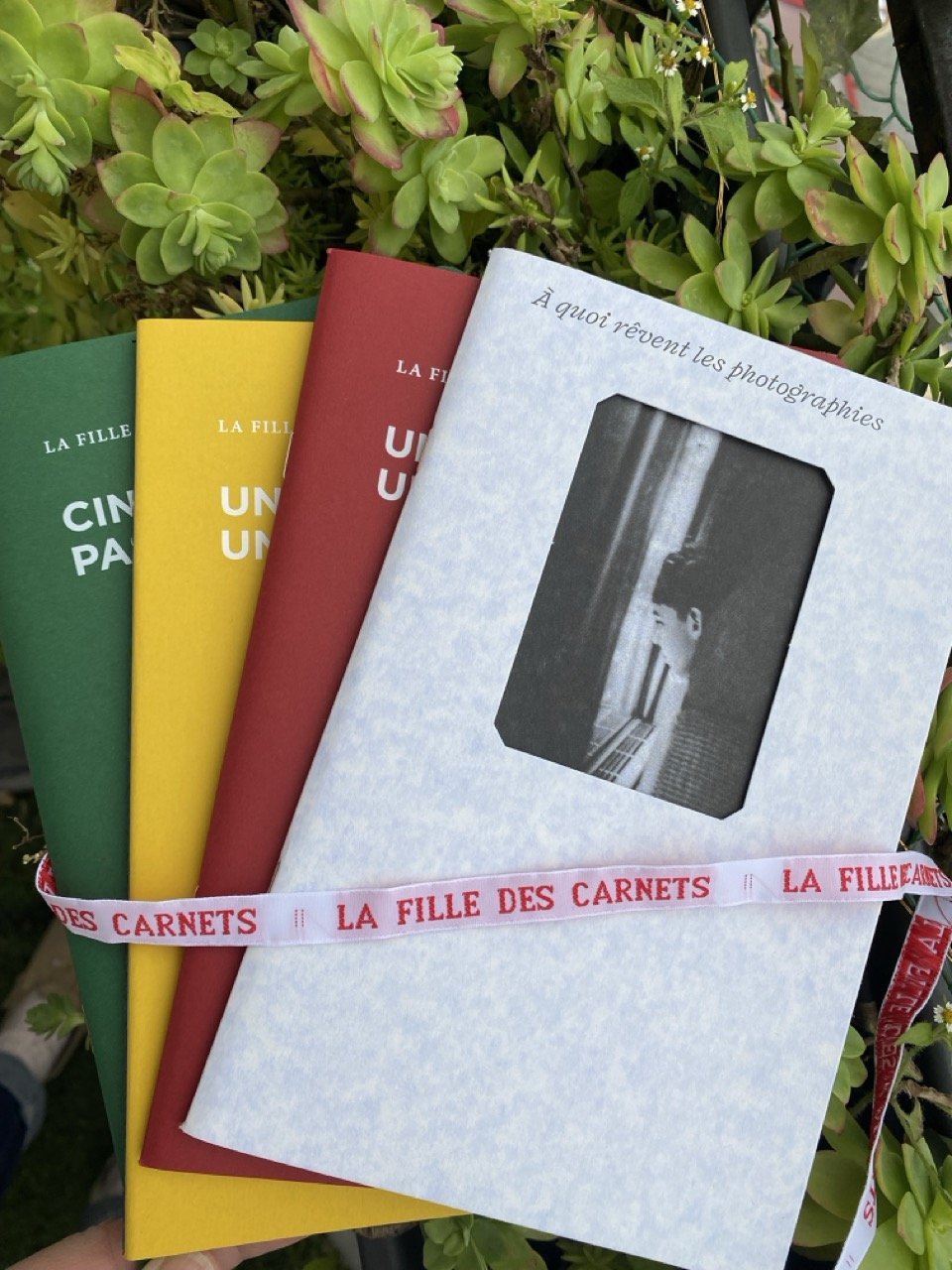 collection 3 La Fille des Carnets - La Collection UN AN D'ÉCRITURE - 3