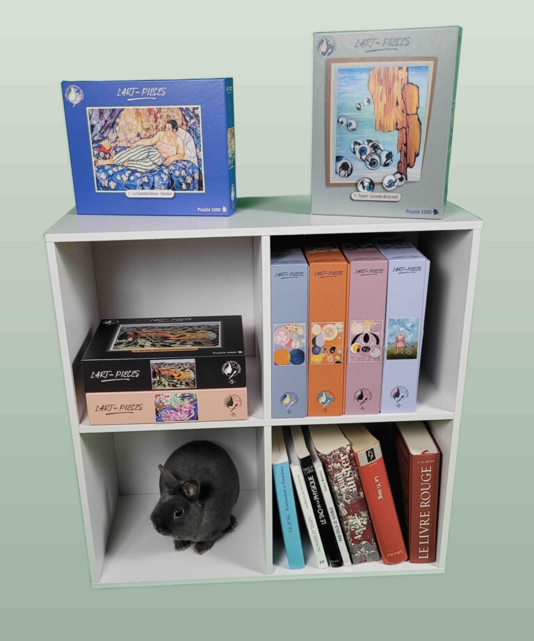 Lart-des-pieces-bibliotheque-puzzles