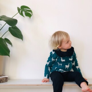 Moomie