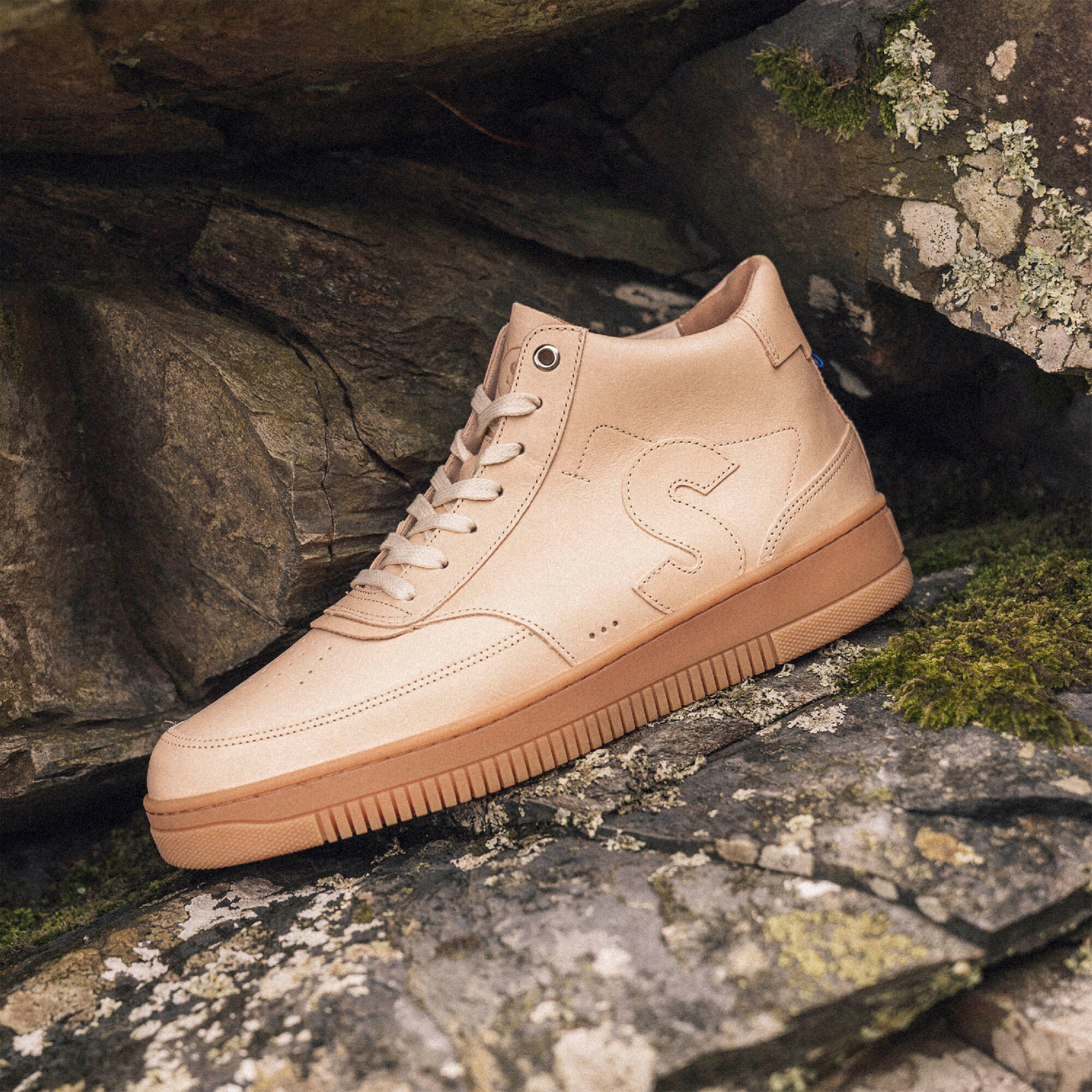 Sureau Blond par la marque Sessile Sessile - Sureau Blond