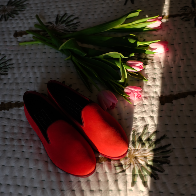 maquistador. - Athéna coquelicot - 40