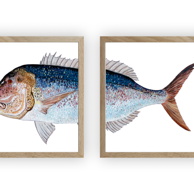 varek.illustrations - Diptyque Denti