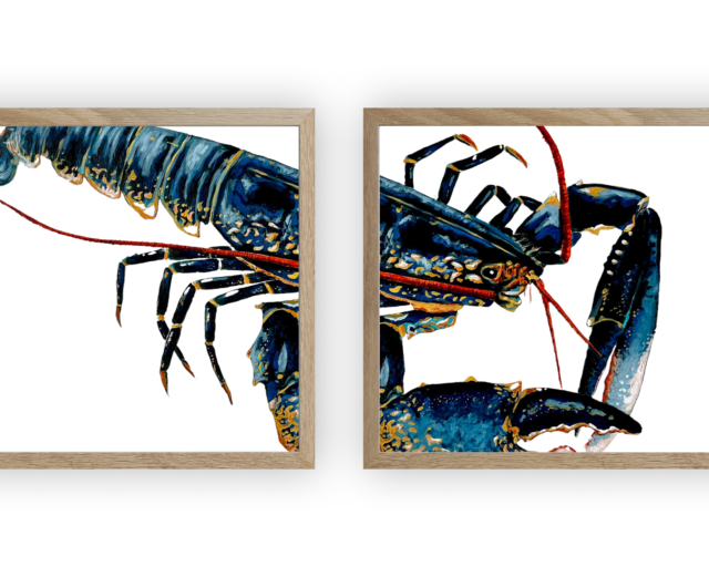 varek.illustrations - Diptyque Homard bleu