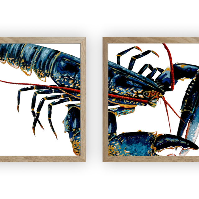 varek.illustrations - Diptyque Homard bleu
