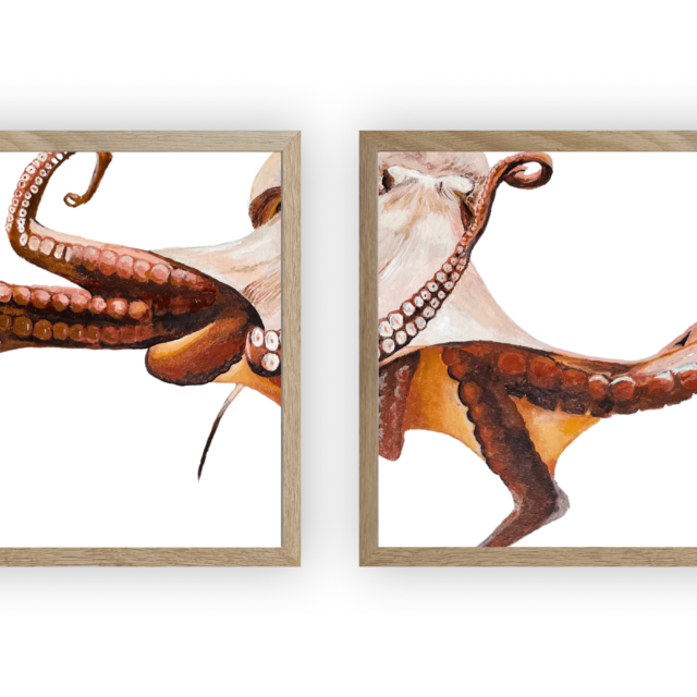 varek.illustrations - Diptyque Poulpe