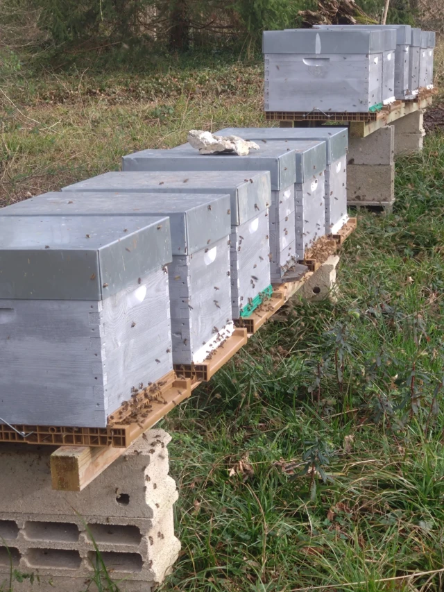 Amiellement-votre-ruches