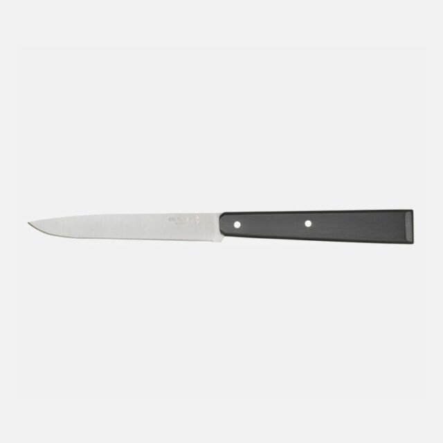 OPINEL - Boite de 4 couteaux de table OPINEL Bon Appétit pro n°125 manche polymère