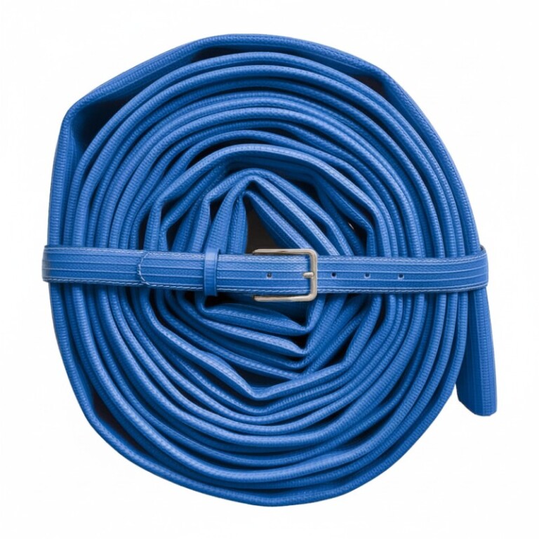 Saint-Lazare - Ceinture bleue - Charlie