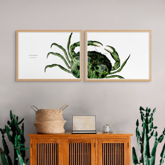 varek.illustrations - Diptyque Crabe vert