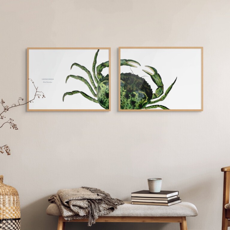 varek.illustrations - Diptyque Crabe vert
