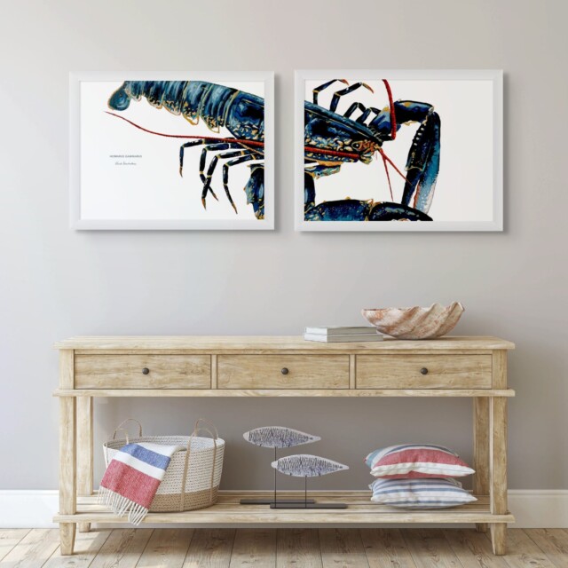 varek.illustrations - Diptyque Homard bleu