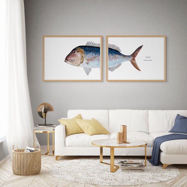 varek.illustrations - Diptyque Denti