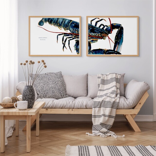 Varek Illustations - Diptyque Homard bleu