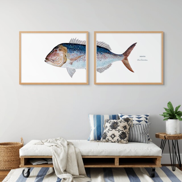 Varek Illustations - Diptyque Denti