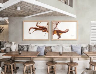 Diptyque Poulpe par la marque Varek Illustrations Varek Illustrations - Diptyque Poulpe