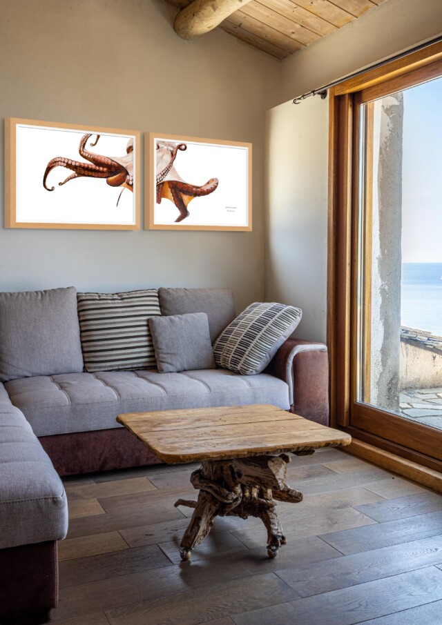 varek.illustrations - Diptyque Poulpe