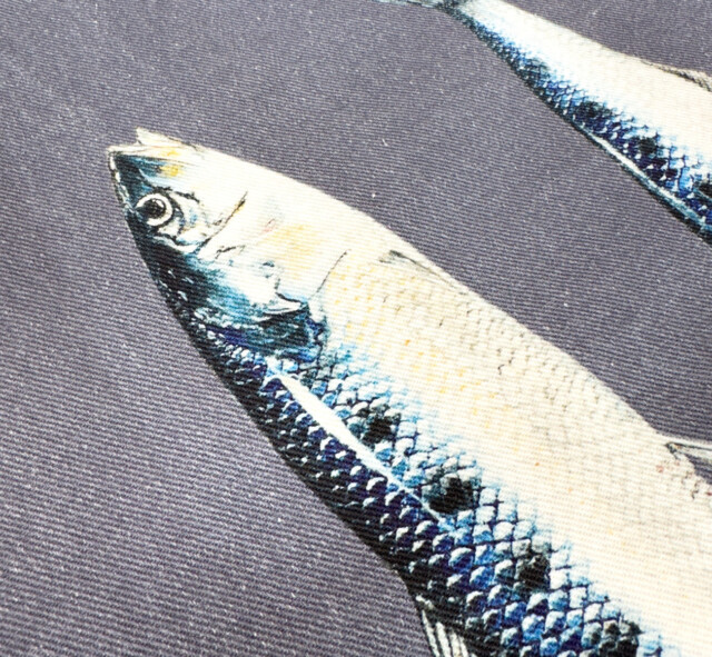 varek.illustrations - Tablier Gris Pragues 100% coton : Les Sardines