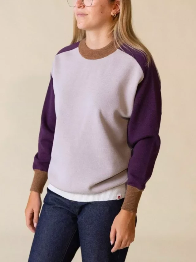 1083 - PULL LAINE MERINOS LARGE 653 bicolore beige prune Femme