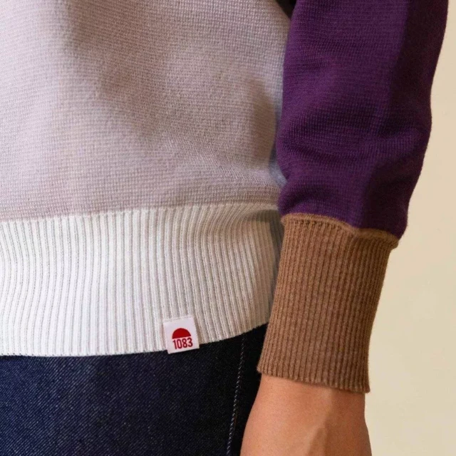 1083 - PULL LAINE MERINOS LARGE 653 bicolore beige prune Femme