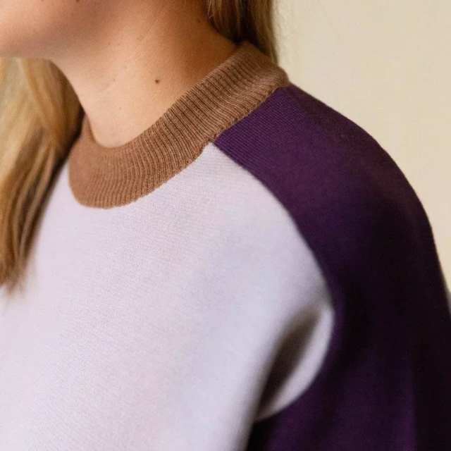 1083 - PULL LAINE MERINOS LARGE 653 bicolore beige prune Femme