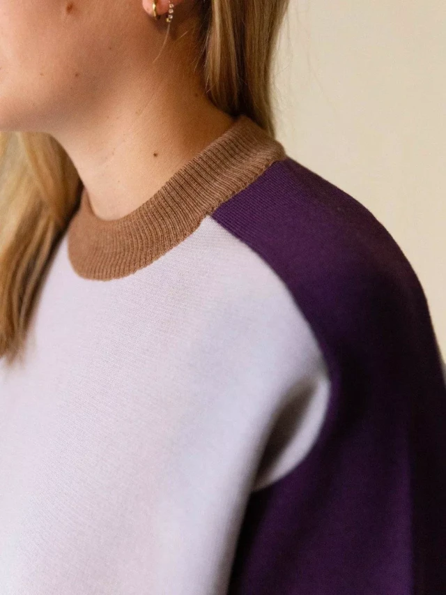 1083 - PULL LAINE MERINOS LARGE 653 bicolore beige prune Femme