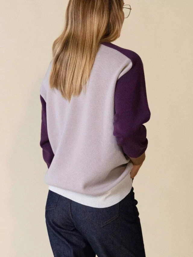 1083 - PULL LAINE MERINOS LARGE 653 bicolore beige prune Femme