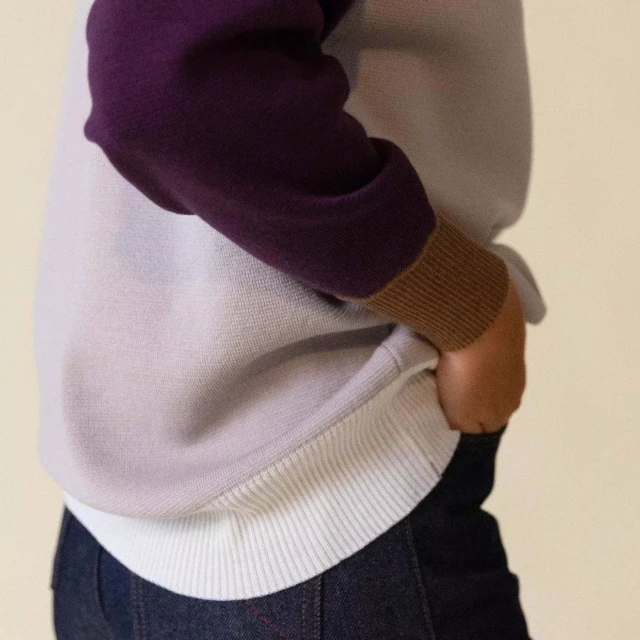 1083 - PULL LAINE MERINOS LARGE 653 bicolore beige prune Femme