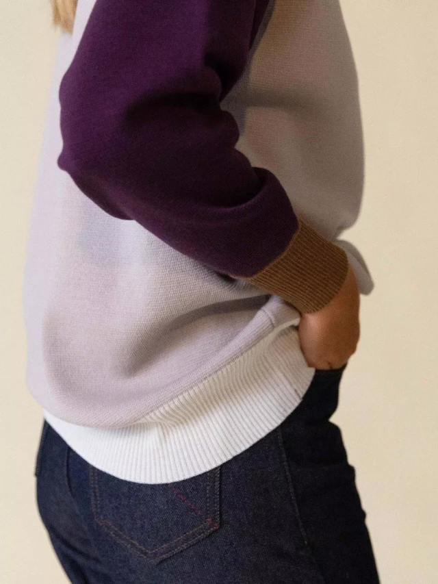 1083 - PULL LAINE MERINOS LARGE 653 bicolore beige prune Femme