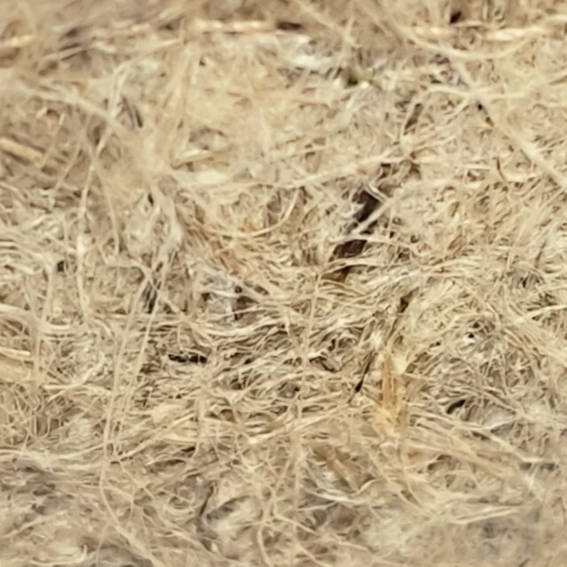 La Piece Paris Direct - Le sac repas isotherme LUCO