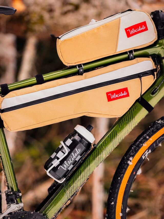 Atelier Velocidade - Gypaète