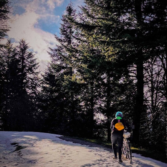 Atelier Velocidade - Musette Elemento