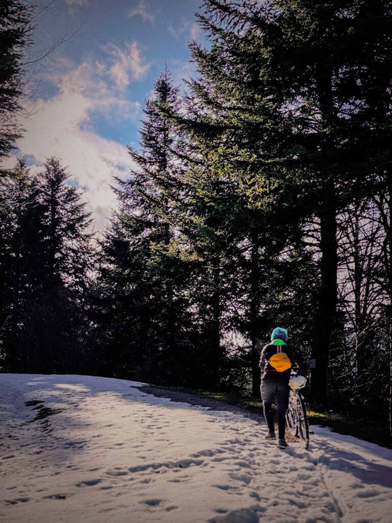Atelier Velocidade - Musette Elemento – Alpin