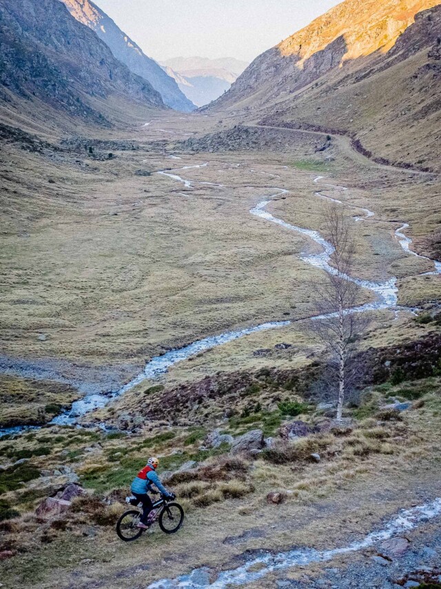 Atelier Velocidade - Gypaète