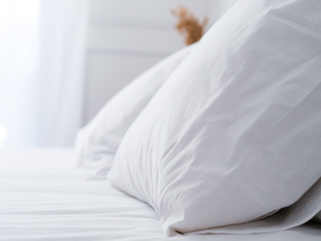 Dejorine - Taies d'oreiller X2 en Percale de coton - Blanc